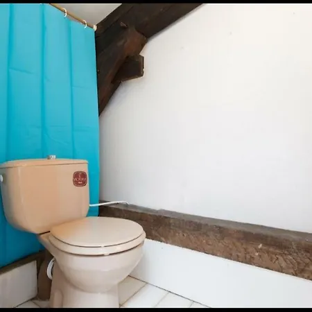 Nouvel Oasis Centre-ville *