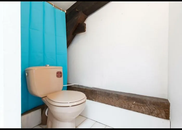 Nouvel Oasis Centre-ville *